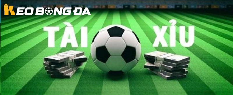 Hướng Dẫn Chi Tiết Cách Đọc Kèo Tài Xỉu Bóng Đá Chuẩn Xác Nhất 2025