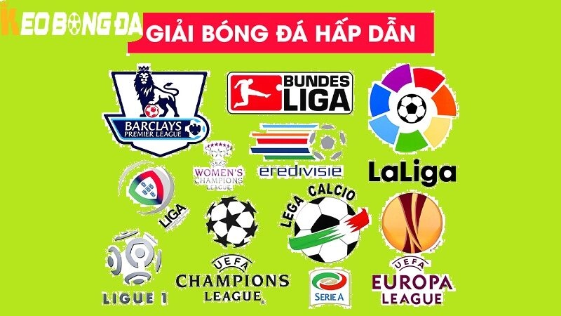 Top 10 Giải Bóng Đá Lớn Thu Hút Nhất Hành Tinh Hiện Nay